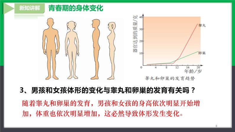 【人教版】七下生物  4.1.3青春期  课件+同步练习+素材08