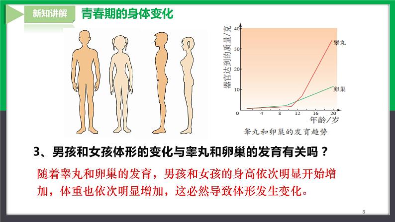 人教版七年级下册生物4.1.3青春期课件第8页