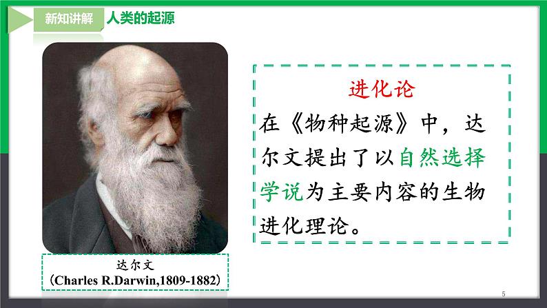 【人教版】七下生物  4.1.1人的起源和发展  课件+同步练习+素材05