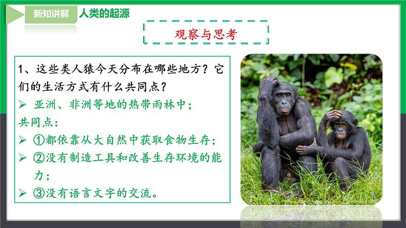 【人教版】七下生物  4.1.1人的起源和发展  课件+同步练习+素材07