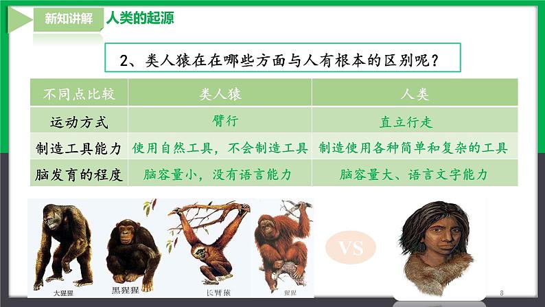 【人教版】七下生物  4.1.1人的起源和发展  课件+同步练习+素材08
