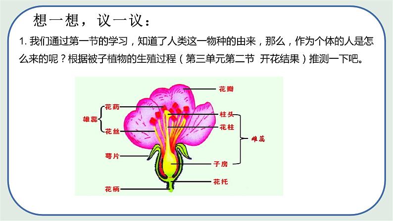 4.1.2 人的生殖（第1课时) -初中生物七年级下册 课件+练习（人教版新课标）05