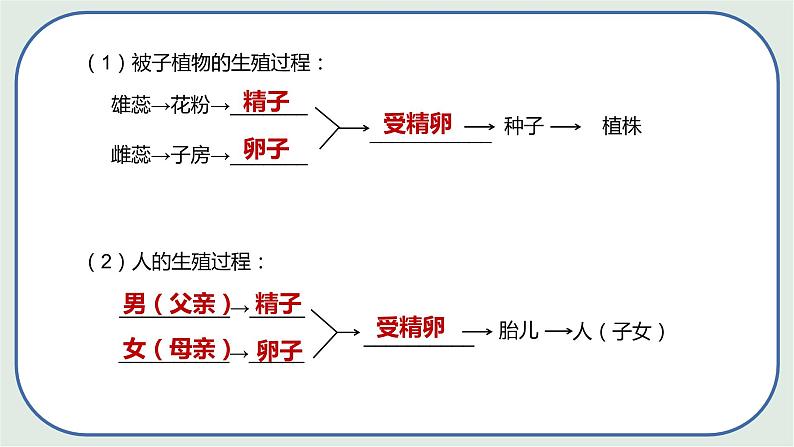 4.1.2 人的生殖（第1课时) -初中生物七年级下册 课件+练习（人教版新课标）06