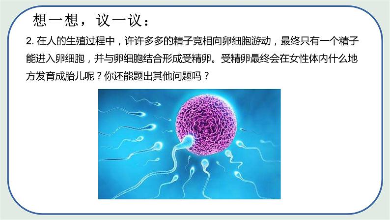 4.1.2 人的生殖（第1课时) -初中生物七年级下册 课件+练习（人教版新课标）07