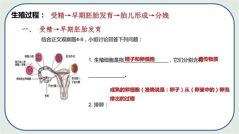 4.1.2 人的生殖（第2课时)-初中生物七年级下册 课件+练习（人教版新课标）08