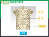 【人教版】七下生物  4.3.2发生在肺内的气体交换  课件+同步练习+素材