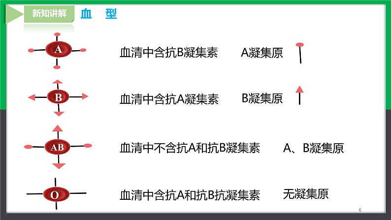 【人教版】七下生物  4.4.4输血与血型  课件+同步练习+素材06