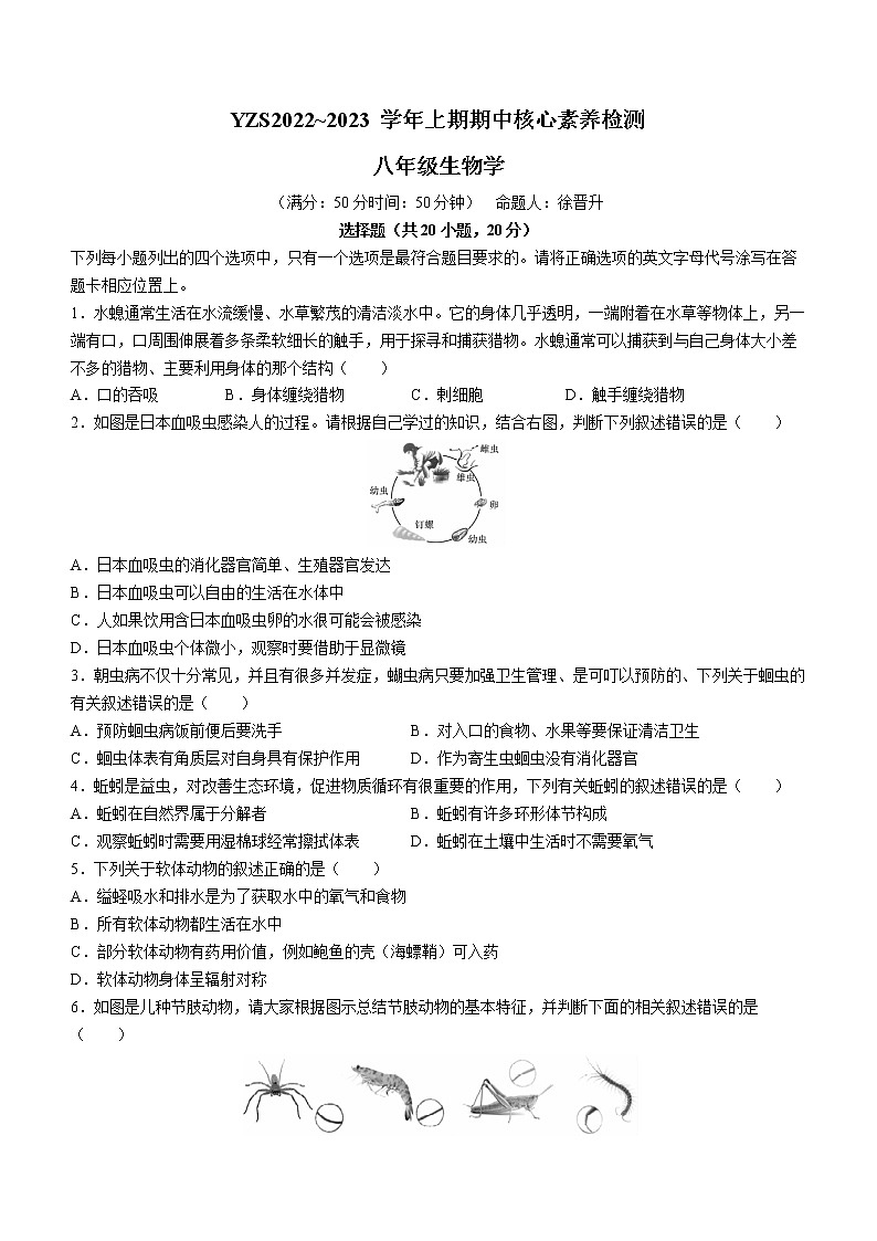 河南省许昌市禹州市2022-2023学年八年级上学期期中生物试题(含答案)01