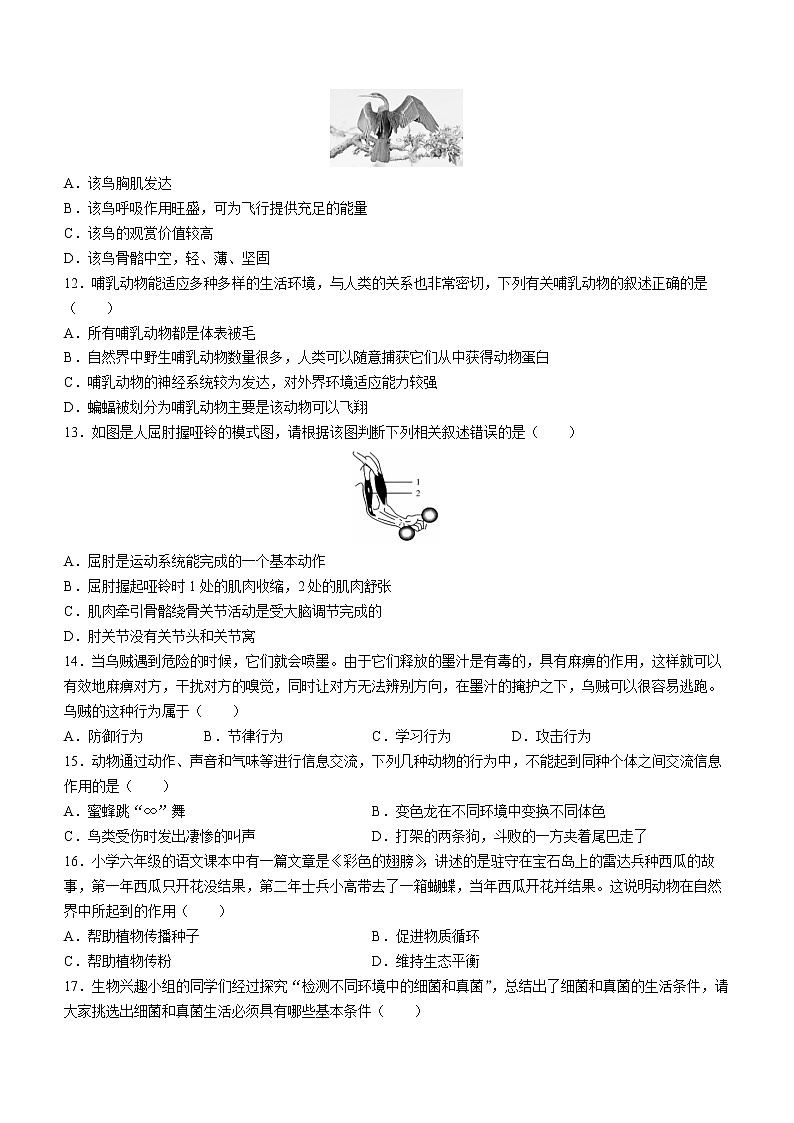 河南省许昌市禹州市2022-2023学年八年级上学期期中生物试题(含答案)03