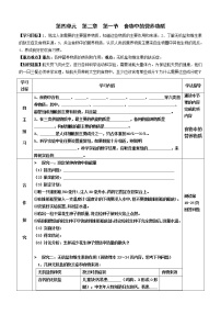 初中生物人教版 (新课标)七年级下册第一节 食物中的营养物质学案设计