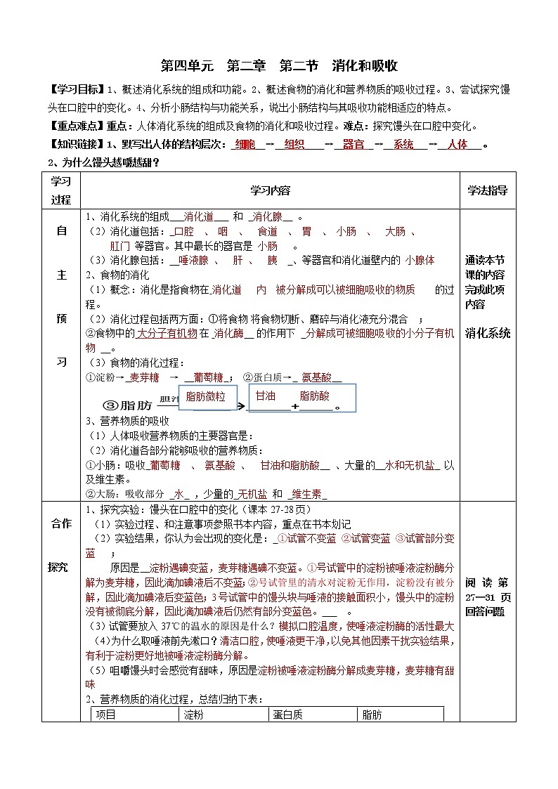 2022-2023学年度七年级第二学期生物同步课程4.2.2 消化和吸收 导学案 (答案）第1页