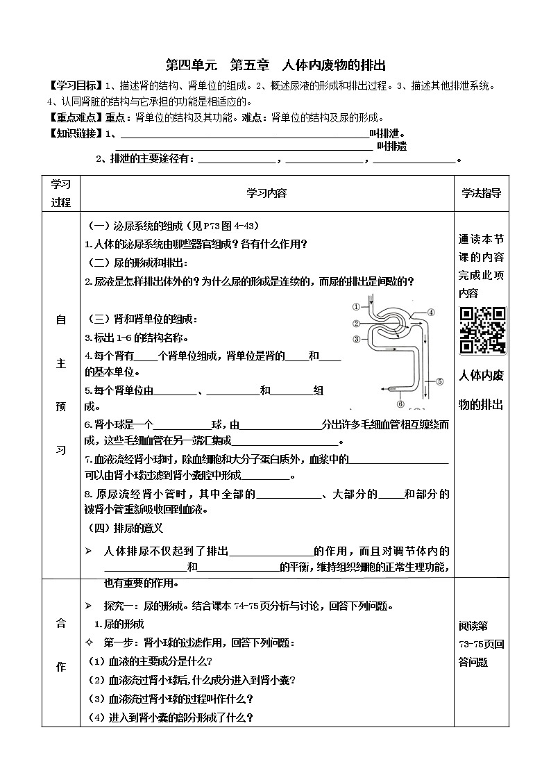 2022-2023学年度七年级第二学期生物同步课程4.5 人体内废物的排出 导学案第1页