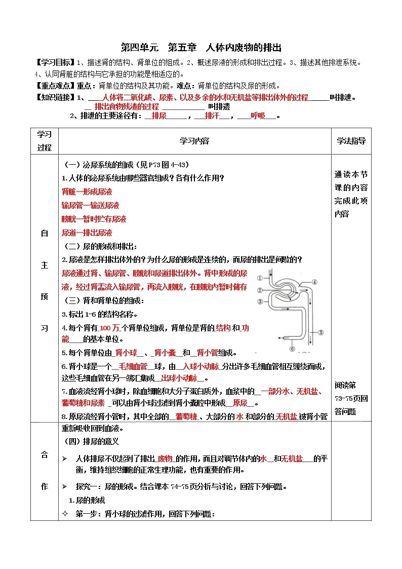 2022-2023学年度七年级第二学期生物同步课程4.5 人体内废物的排出 导学案（答案）01