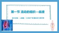 生物七年级下册第一节 流动的组织──血液优秀习题ppt课件