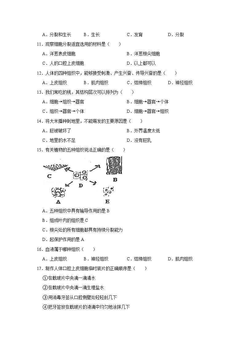辽宁省鞍山市第二中学2022-2023学年七年级上学期期中生物试卷(含答案)第3页