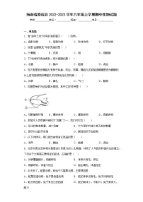 海南省澄迈县2022-2023学年八年级上学期期中生物试题(含答案)