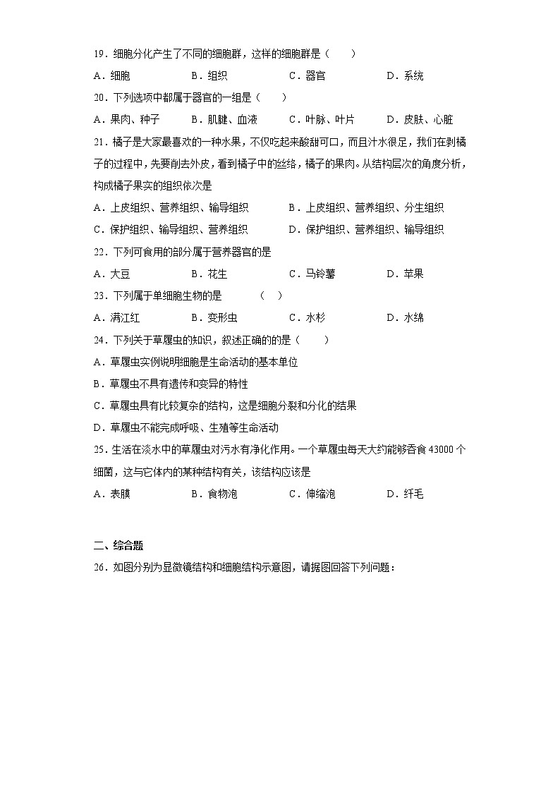 河南省新乡市原阳县2022-2023学年七年级上学期期中生物试题(含答案)03