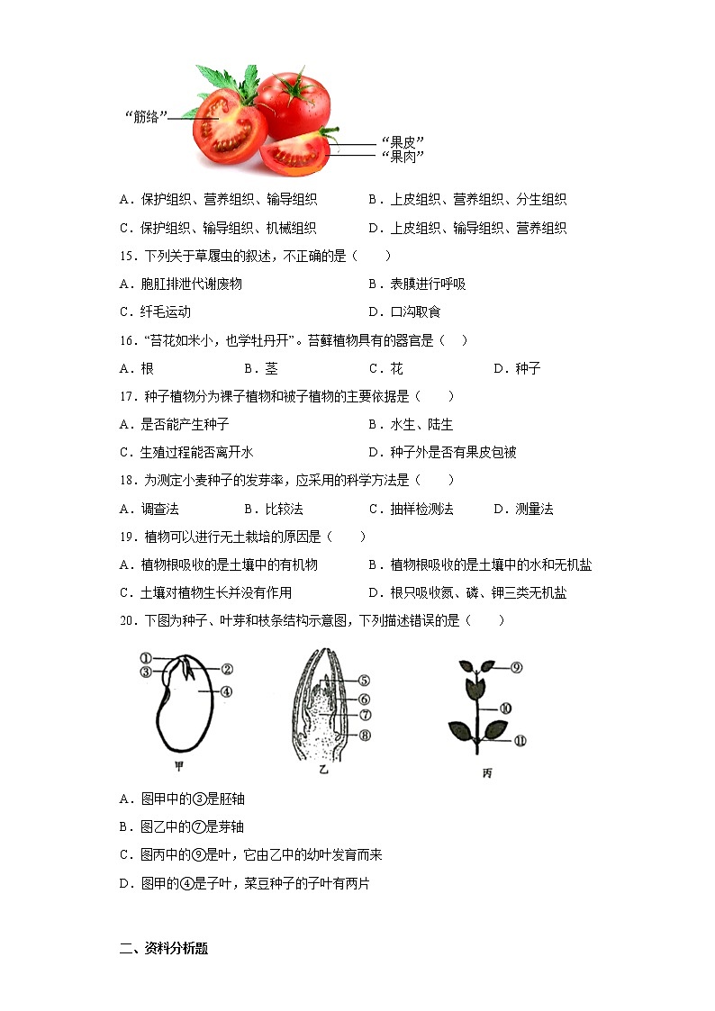 吉林省吉林市船营区大学区联考2022-2023学年七年级上学期期中生物试题(含答案)03