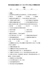陕西省渭南市蒲城县2021-2022学年七年级上学期期末生物试题(含答案)