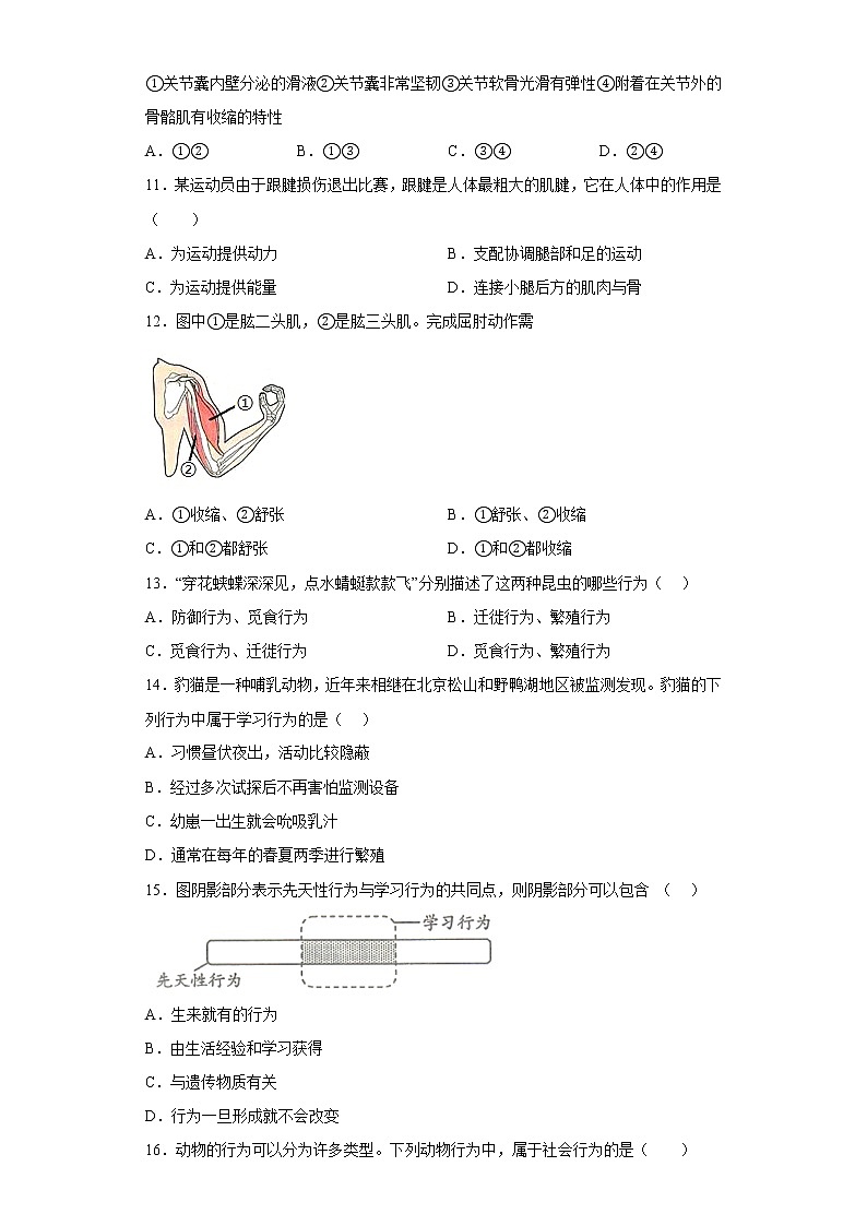 陕西省西安市西咸新区泾河新城2021-2022学年八年级上学期期末生物试题(含答案)第2页
