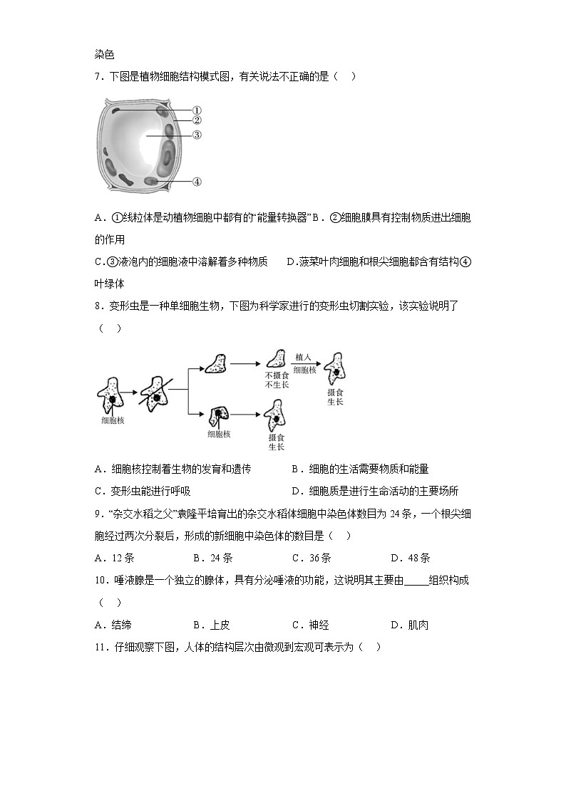 陕西省榆林市高新区2021-2022学年七年级上学期期末生物试题(含答案)02