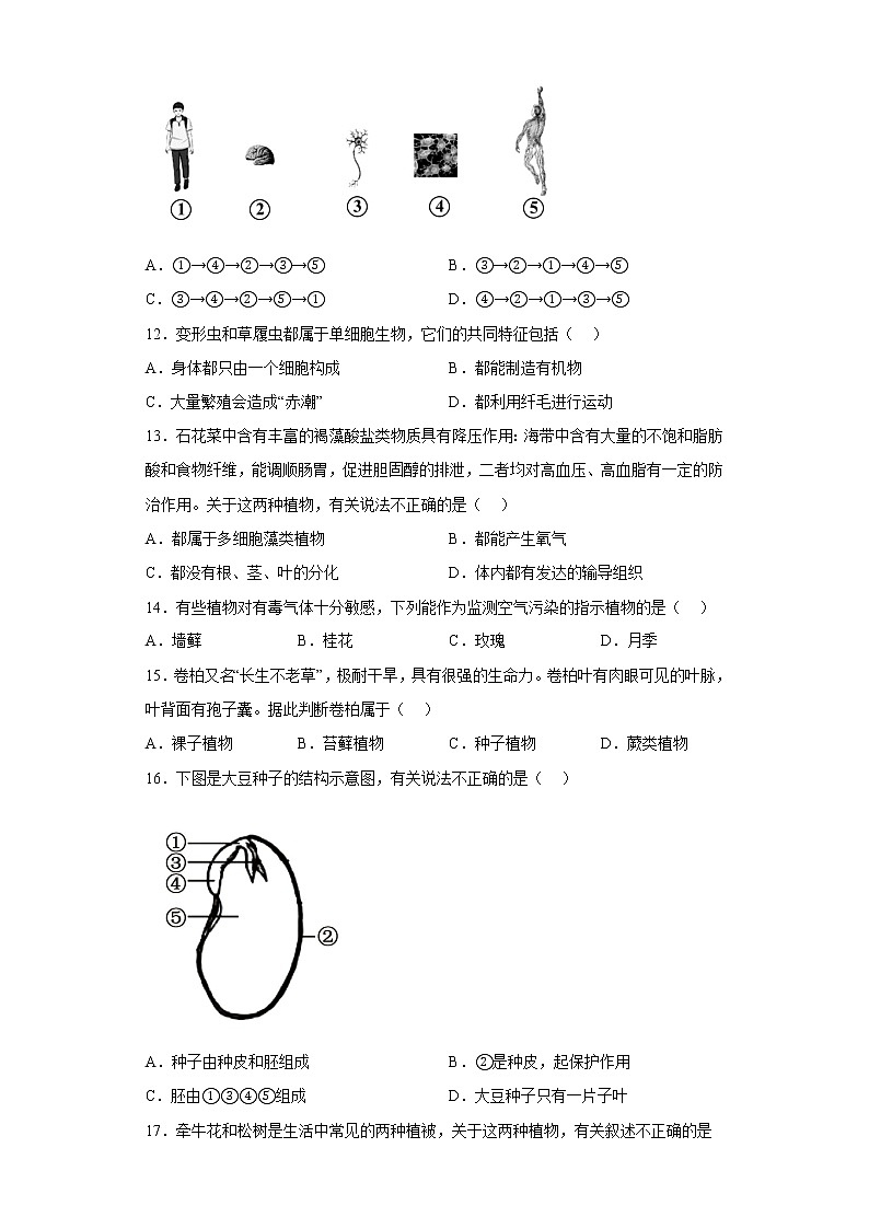 陕西省榆林市高新区2021-2022学年七年级上学期期末生物试题(含答案)03