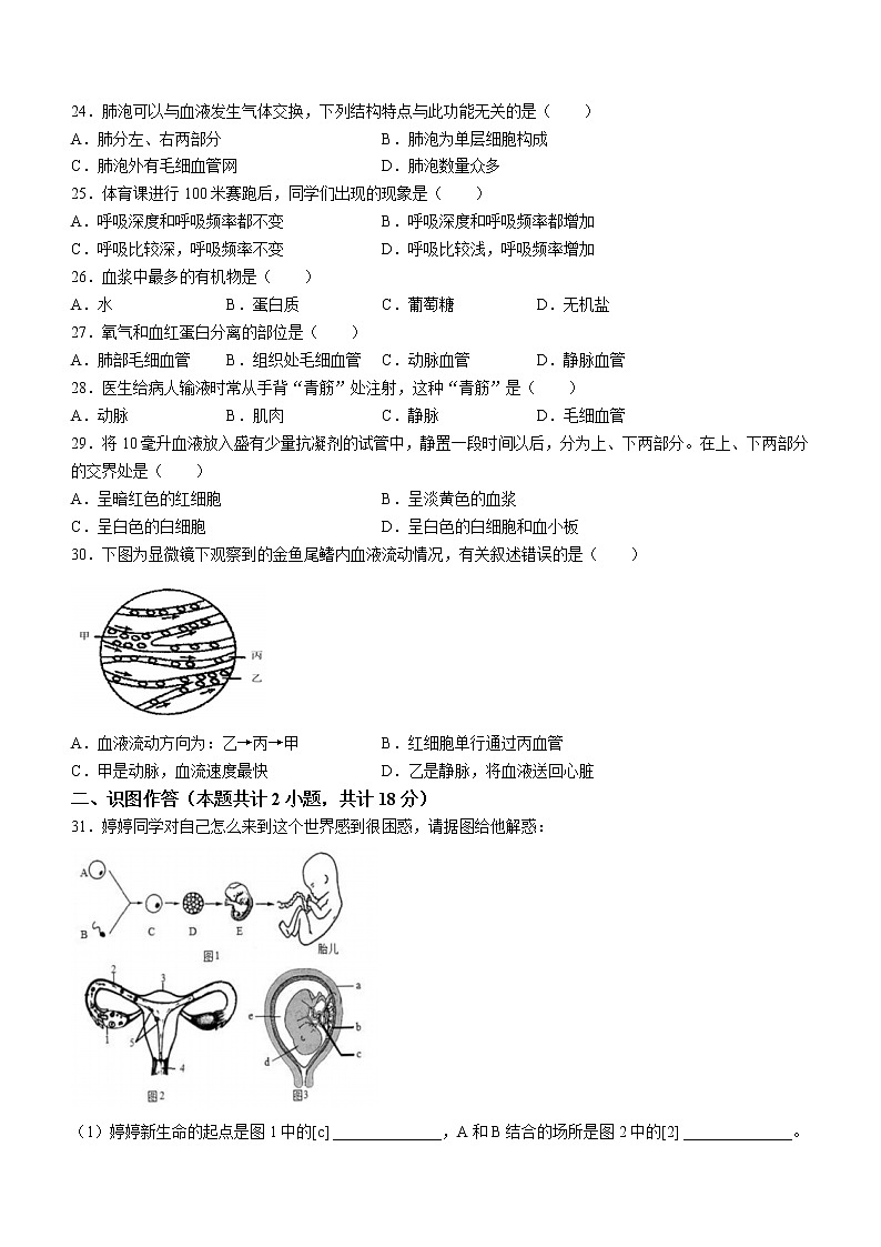 湖南省华鑫教育集团2021-2022学年七年级下学期期中生物试题(含答案)第3页