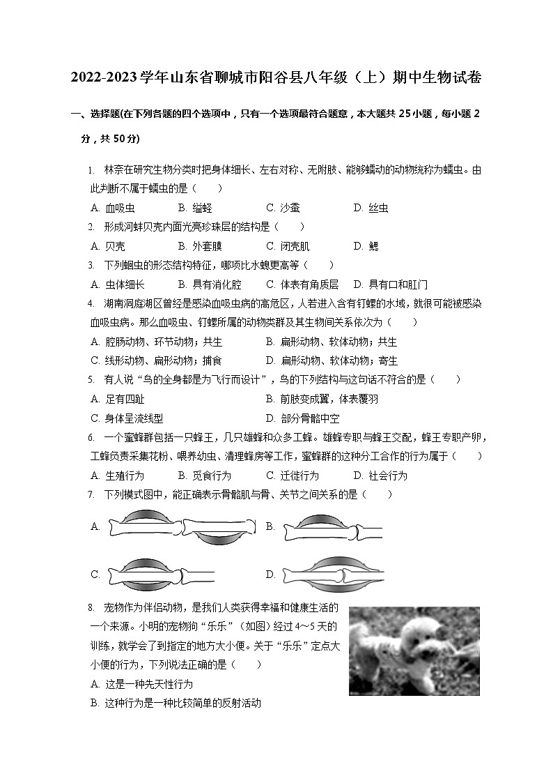 山东省聊城市阳谷县2022-2023学年八年级上学期期中生物试卷(含答案)第1页
