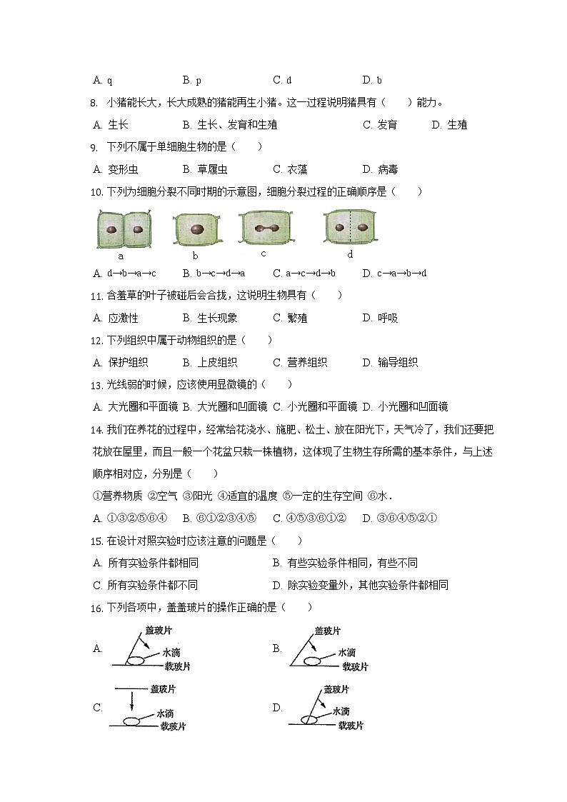 四川省内江二中2022-2023学年七年级上学期期中生物试卷(含答案)第2页