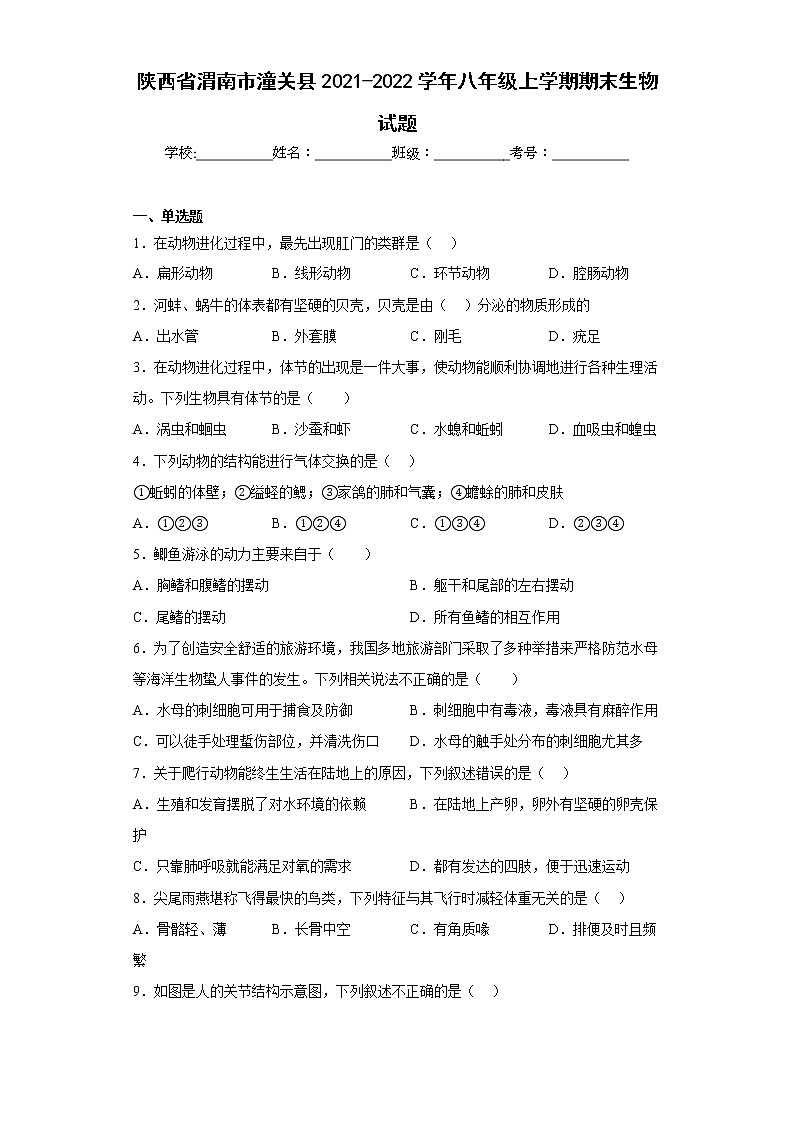 陕西省渭南市潼关县2021-2022学年八年级上学期期末生物试题(含答案)第1页