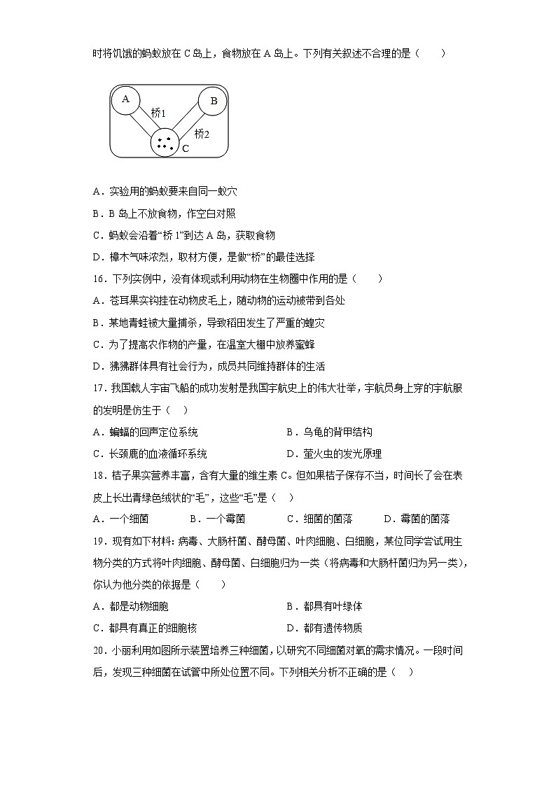 陕西省渭南市潼关县2021-2022学年八年级上学期期末生物试题(含答案)第3页