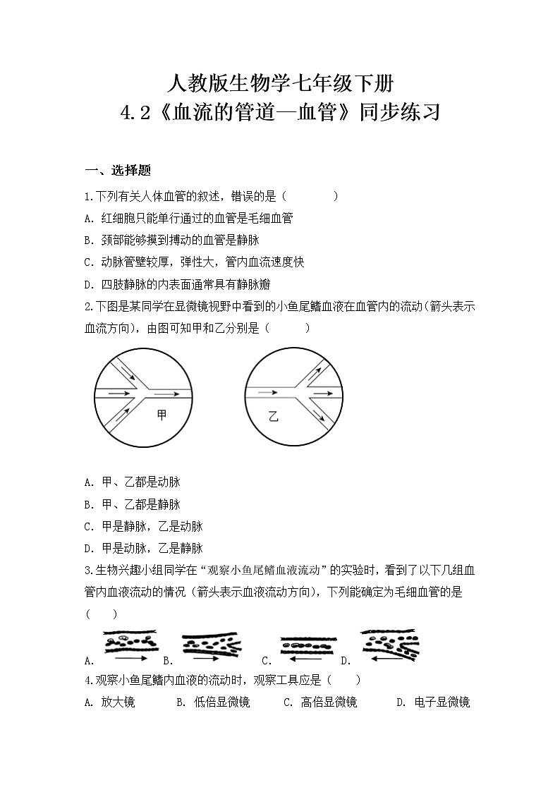 4.4.2《血流的管道—血管》课件+教案+习题01
