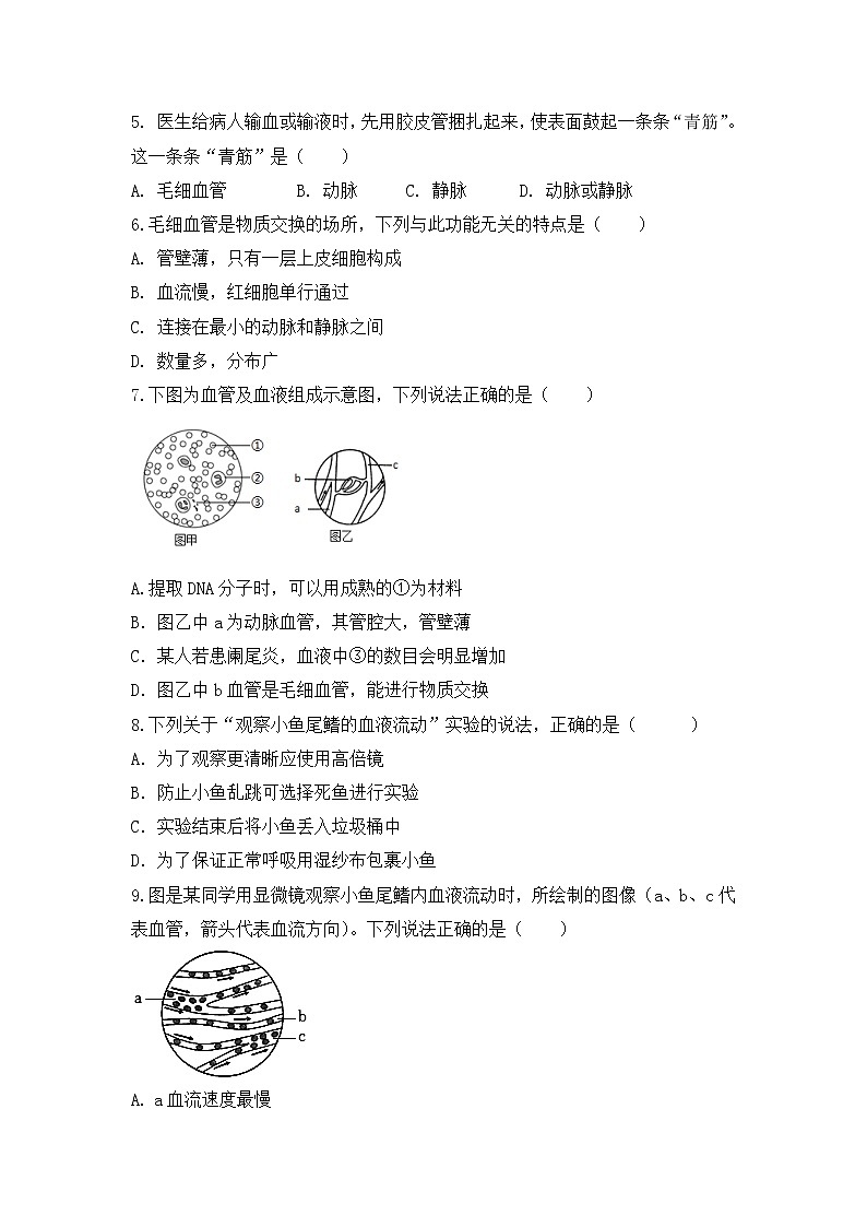 4.4.2《血流的管道—血管》课件+教案+习题02
