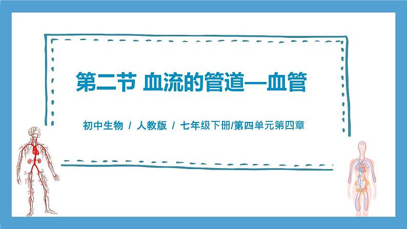 4.4.2《血流的管道—血管》课件+教案+习题01