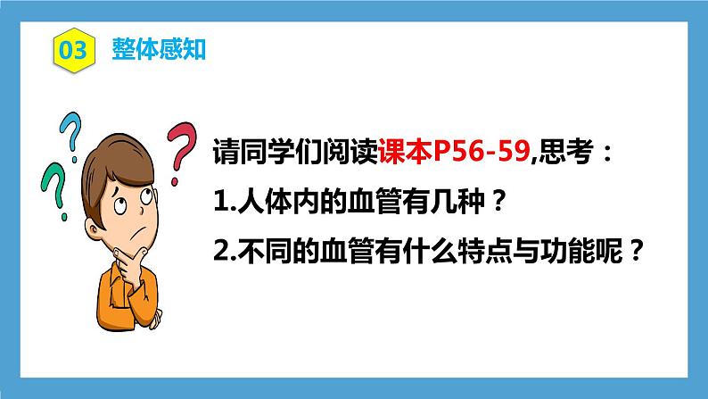 4.4.2《血流的管道—血管》课件+教案+习题06