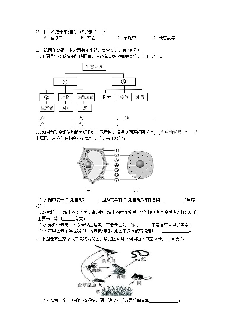 湖南省长沙市稻田特立中学2022---2023学年七年级上学期期中生物检测卷(含答案)第3页