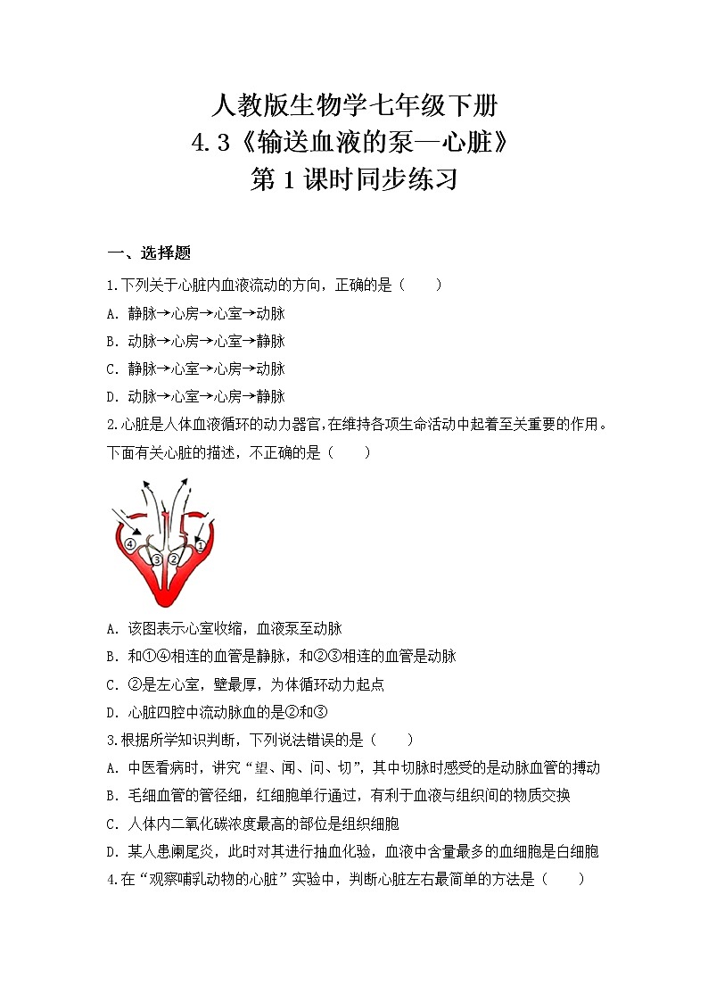 4.4.3《输送血液的泵—心脏》第1课时  课件+教案+习题01