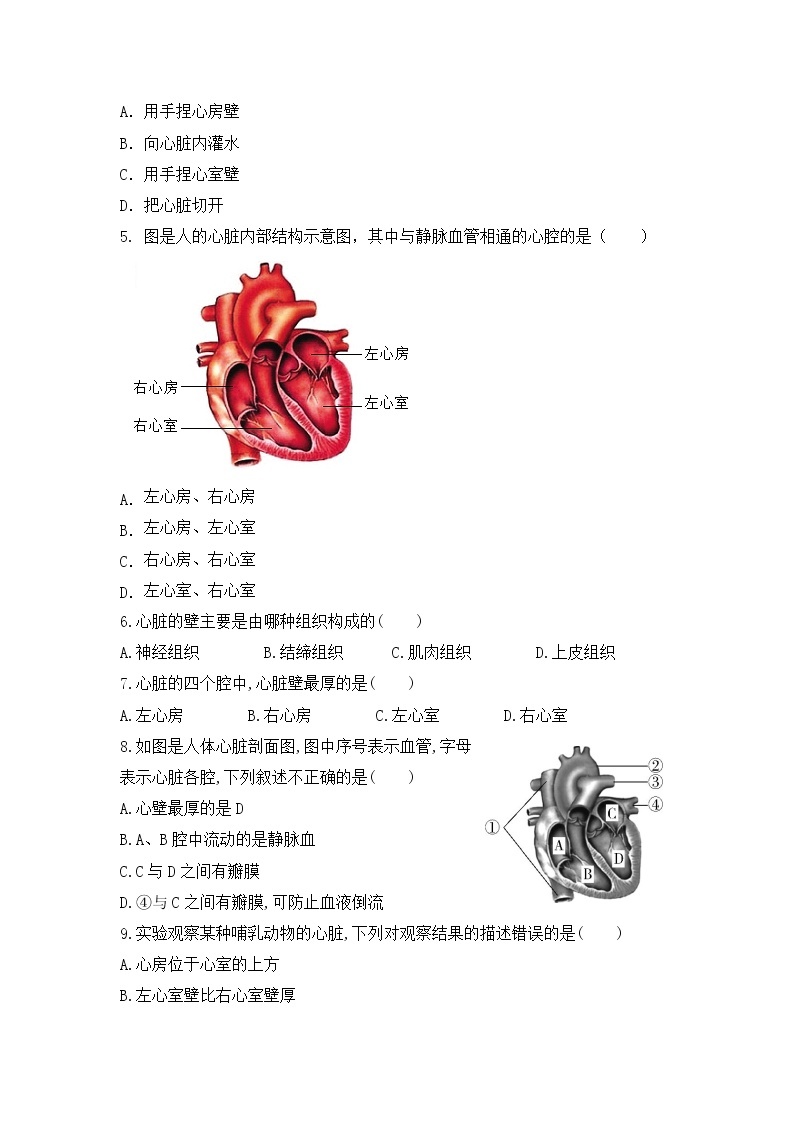 4.4.3《输送血液的泵—心脏》第1课时  课件+教案+习题02