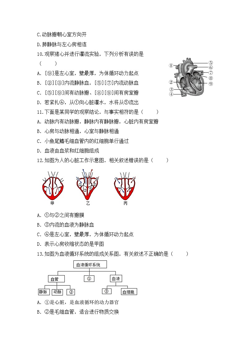 4.4.3《输送血液的泵—心脏》第1课时  课件+教案+习题03