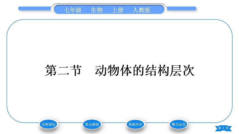 人教版七年级生物上第二单元生物体的结构层次第二章细胞怎样构成生物体第二节动物体的结构层次习题课件01