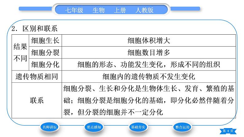 人教版七年级生物上第二单元生物体的结构层次第二章细胞怎样构成生物体第二节动物体的结构层次习题课件04