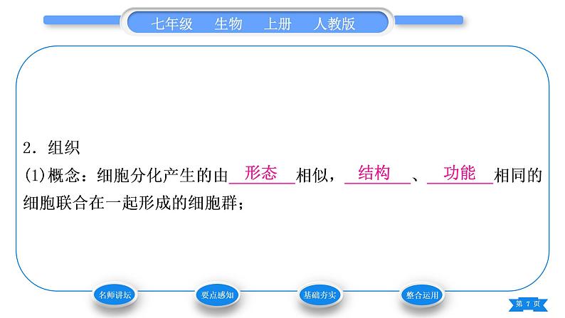 人教版七年级生物上第二单元生物体的结构层次第二章细胞怎样构成生物体第二节动物体的结构层次习题课件07