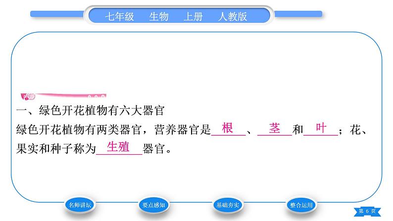 人教版七年级生物上第二单元生物体的结构层次第二章细胞怎样构成生物体第三节植物体的结构层次习题课件06