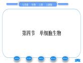 人教版七年级生物上第二单元生物体的结构层次第二章细胞怎样构成生物体第四节单细胞生物习题课件