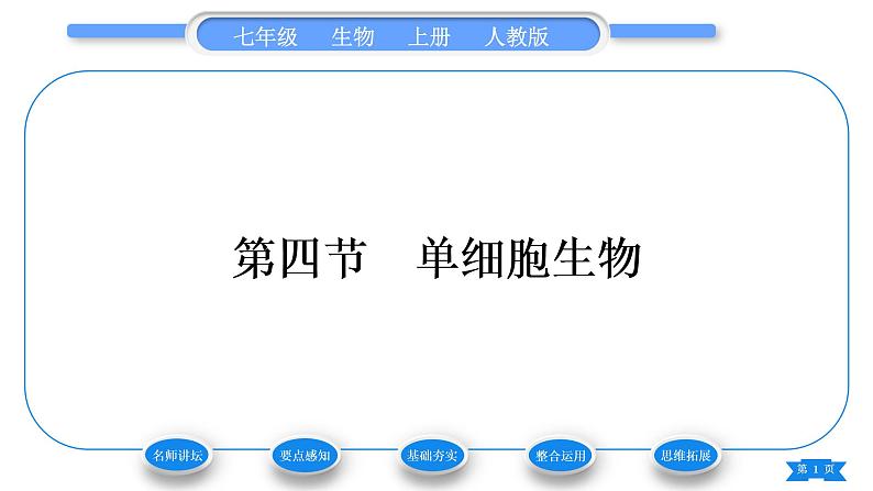 人教版七年级生物上第二单元生物体的结构层次第二章细胞怎样构成生物体第四节单细胞生物习题课件01