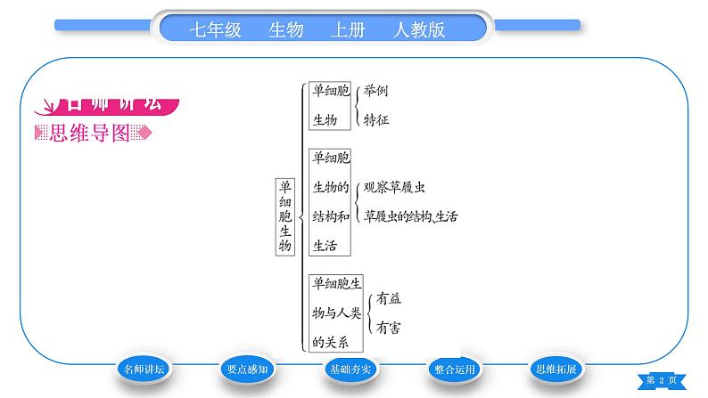 人教版七年级生物上第二单元生物体的结构层次第二章细胞怎样构成生物体第四节单细胞生物习题课件02
