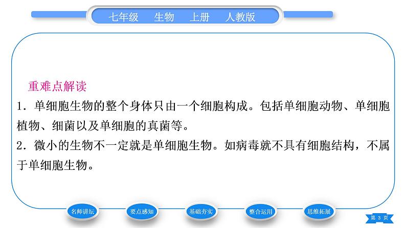 人教版七年级生物上第二单元生物体的结构层次第二章细胞怎样构成生物体第四节单细胞生物习题课件03