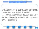 人教版七年级生物上第二单元生物体的结构层次第二章细胞怎样构成生物体第四节单细胞生物习题课件