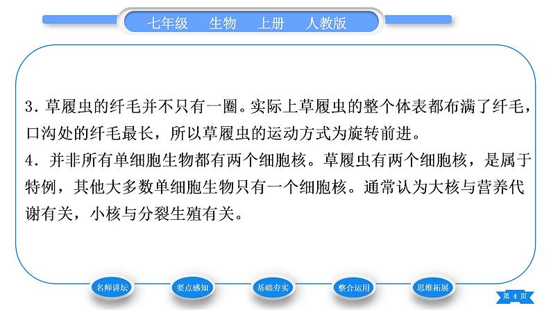 人教版七年级生物上第二单元生物体的结构层次第二章细胞怎样构成生物体第四节单细胞生物习题课件04