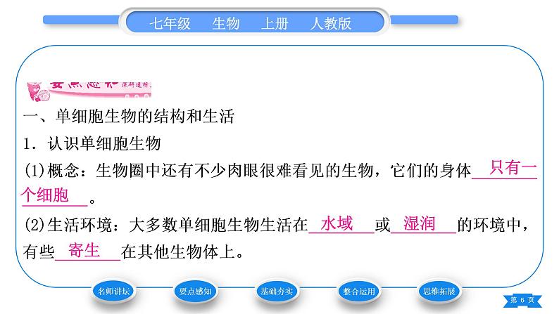 人教版七年级生物上第二单元生物体的结构层次第二章细胞怎样构成生物体第四节单细胞生物习题课件06